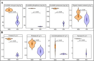 Analysis of rhizosphere soil microbial diversity and its functions between Dahongpao mother tree and cutting Dahongpao